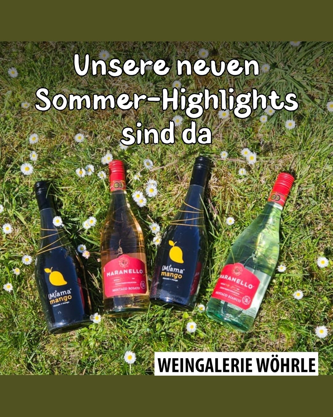 Sommer im Glas